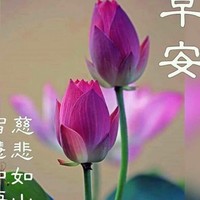 白煒德
