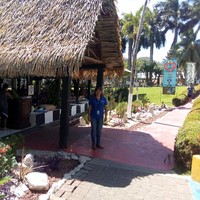 Ana Catalina Murillo Araya