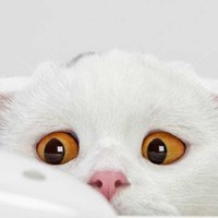 марина зубкова