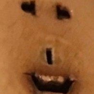 Le Lsnt