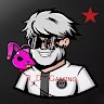 R_D Gaming