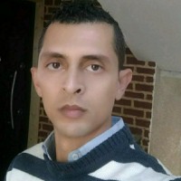 Eng.Wael Samy Kamel