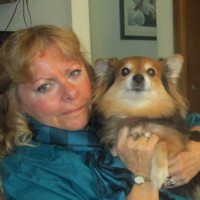 Sue Wood