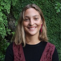 Dominga Teixidó Balbontín