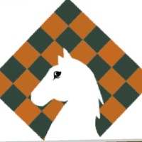 Giri Chess Academy
