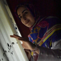 Nafise Habibi