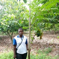 Ouattara Wadanignan Siata