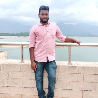 Raguvarasu Palanisamy