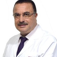 Adel Taha Elhamamsy