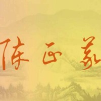 陈正义