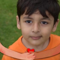Hamdan Hamdan Gnw
