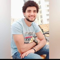 Ziad Amr