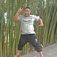 王要东