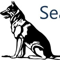 Search Dog Media