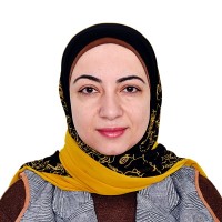 Walaa El Sisi