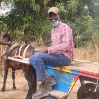 Elhadji Thierno Ngom