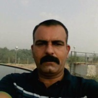 عمر الحيالي