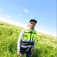 Mostafa Ahmed