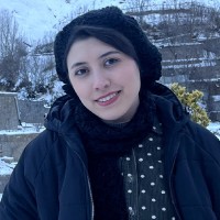 Parisa Golestani