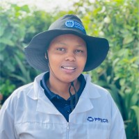 Unathi Mvango