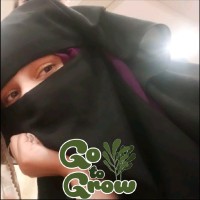 Mamoona Ayub