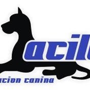 ACILA Asociacion Canina