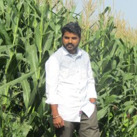 Vamshi Mahesh