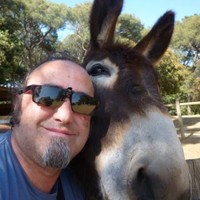 Albert Rocamora i Boira