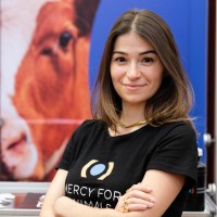 Thamara Falco