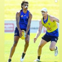 Matthew Dally-Watkins