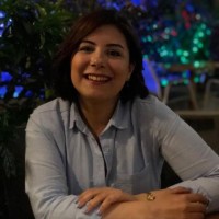 Bilge Varış