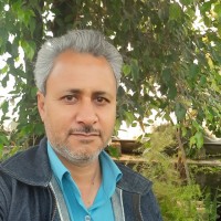 Mohammad Abed