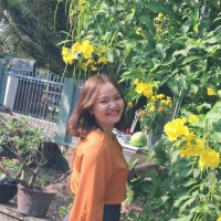 Le Hanh