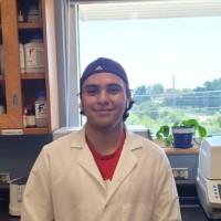 Carlos Efrain Cruz Bahena