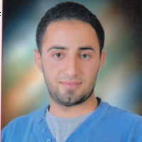 Wael Sheded