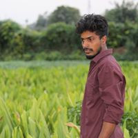 Praveen Turaga