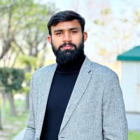 Muhammad Hamza Naseer