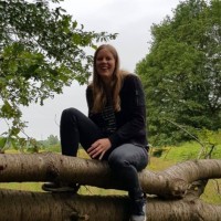 Debby Stolk