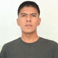 Luis Fernando Flores