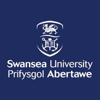 Steve Owen Bsc, Mbcs