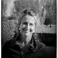 Katelijne Van Tichelen