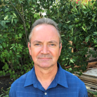 Peter Ellis