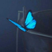 陳維昭