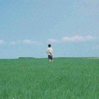 田柏超