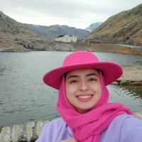Narges Vasheghani Farahani