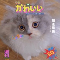 詹子恒