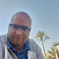 Waleed Alani