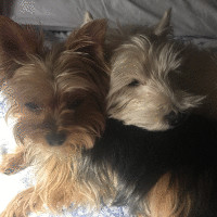 Piedad Moncayo Rodríguez