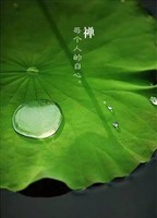 张海乾