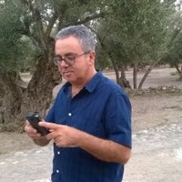 Giovanni Casalinuovo